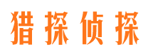 武城市婚姻调查